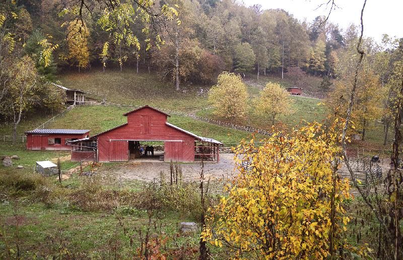 In this photo taken October 17, 2013 a horse feeds inside a barn on Poverty Branch Road in Barnardsville, N.C. surrounded by a changing leaves. While colors in the northern, higher elevations of South Carolina are still emerging, trees are exploding with color at the upper elevations in western North Carolina. (AP Photo/John D Simmons, Charlotte Observer) MAGS OUT; TV OUT; NEWSPAPER INTERNET ONLY
