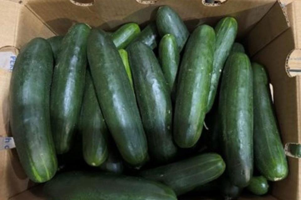 <p>fda.gov</p> Cucumbers recalled