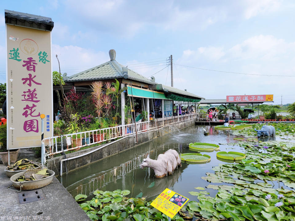 蓮緣香水蓮花園