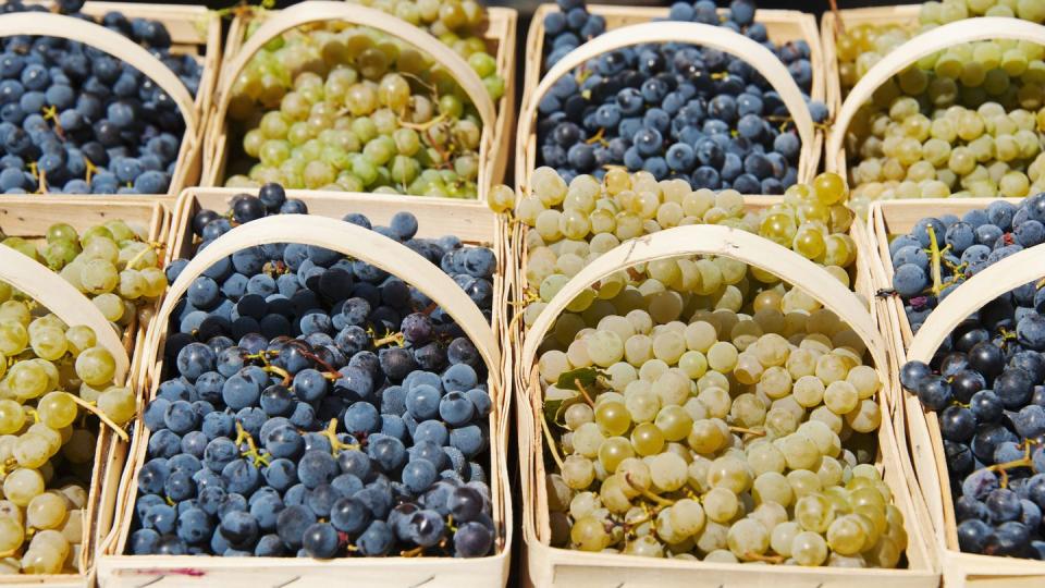 usa, new jersey, jersey city, punnets of fresh grapes on market stall