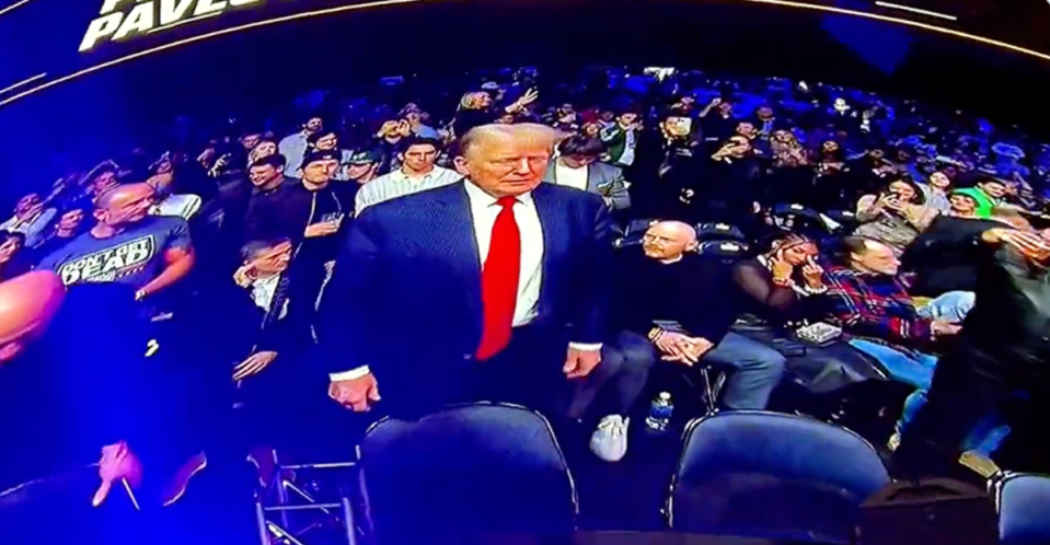Nia Renee Hill, who is married to comedian Bill Burr, appears to flip the bird at Donald Trump at UFC 295 in Madison Square Garden on Saturday night (Republicans Against Trump / X)