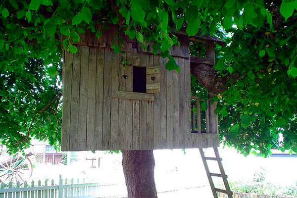 Armonioso Seguid así Arrestar Ideas y tips útiles para construir una casa del árbol que tus niños adoren