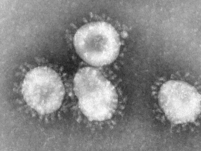 coronavirus virus particles 