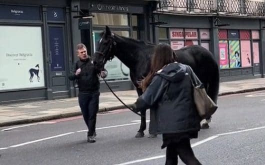 This man was the first member of the public to approach an injured horse on Buckingham Palace Road