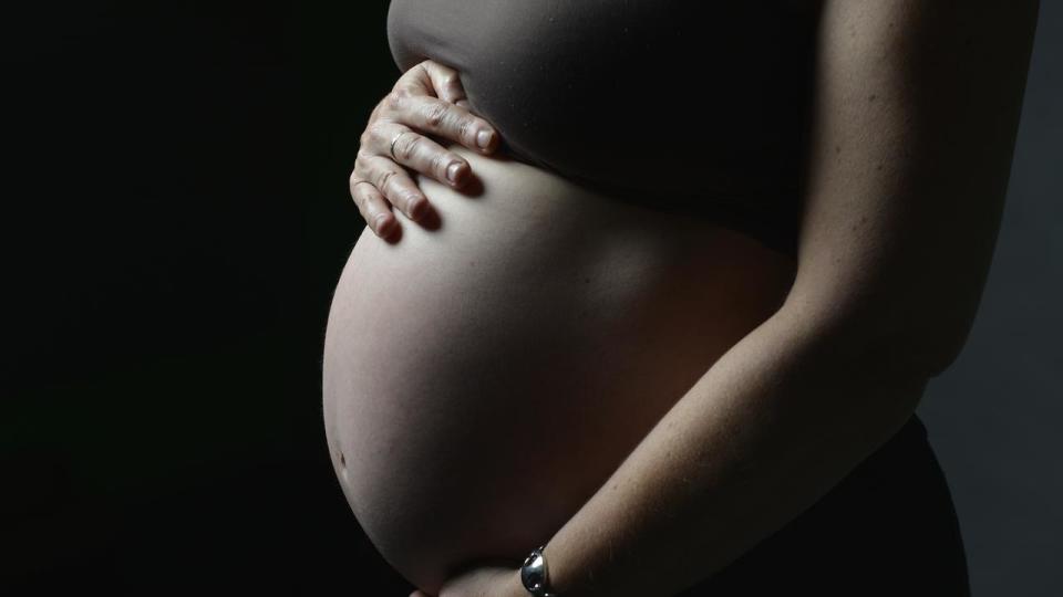 Pregnant woman (file image)