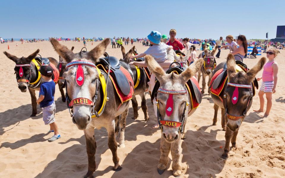 Donkeys on the beach in Skegness