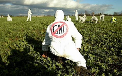 Genetically modified crops remain banned and pilot have attracted destructive protests - Credit: Shutterstock