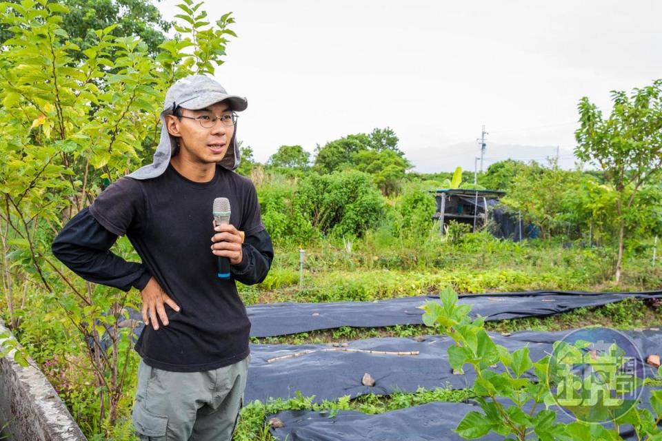 陳幸延田中有數十種作物，還有養鴨，動物們自在在田間漫步。