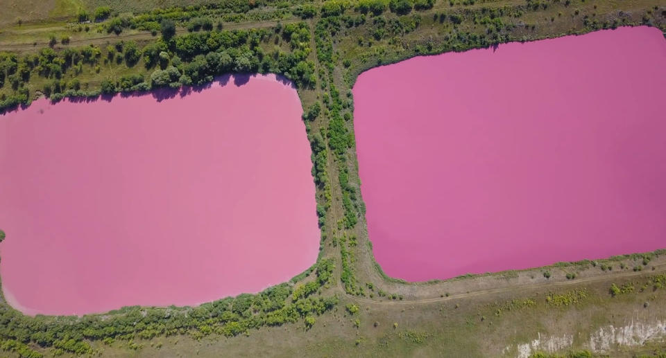 The bright pink coloured ponds have sparked concern from locals in Samara in southwest Russia. Source: CEN/AUSTRALSCOPE