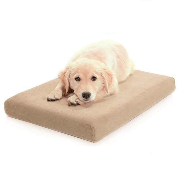 Milliard Premium Orthopedic Memory Foam Dog Bed