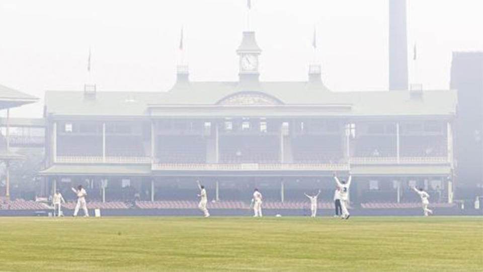 Players at the SCG out on the pitch celebrating in the bushfire smoke.