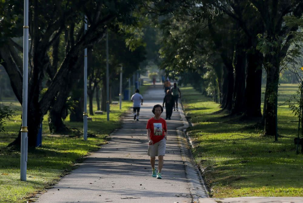 State Local Government, Public Transportation and New Village Development chairman Ng Sze Han today said the Selangor government decided to include outlawing drinking alcohol, smoking and vaping under its 2005 Parks By-Laws of local councils. — Picture by Farhan Najib