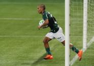 Brasileiro Championship - Palmeiras v Coritiba