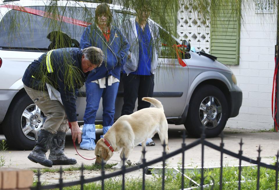 A Phoenix Fire Department canine investigator works outside a home where skeletal remains were found Wednesday, Jan. 29, 2020, in Phoenix. The remains have been found at a house where authorities previously removed at least one child as part of a child abuse investigation in which both parents of that child were in custody, police said Wednesday. (AP Photo/Ross D. Franklin)