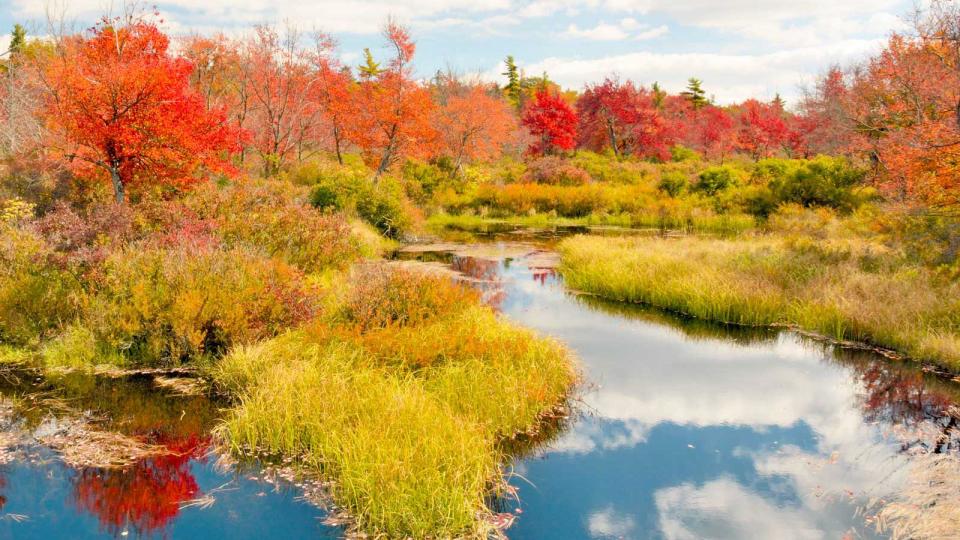 Fall in the Pocono Mountains