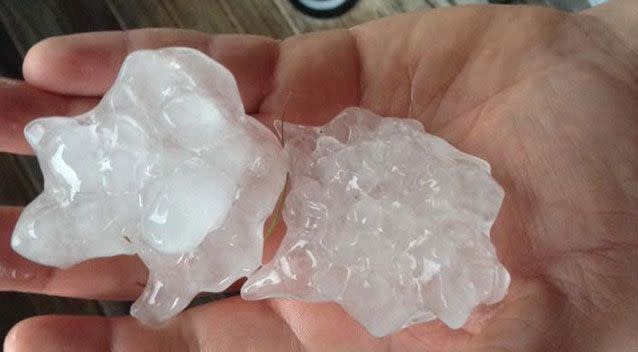 The size of the hail that thrashed Lismore. Source: Higgins Storm Chasers.