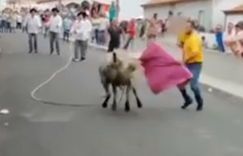 The man manoeuvres around the bull while holding the child in one hand.