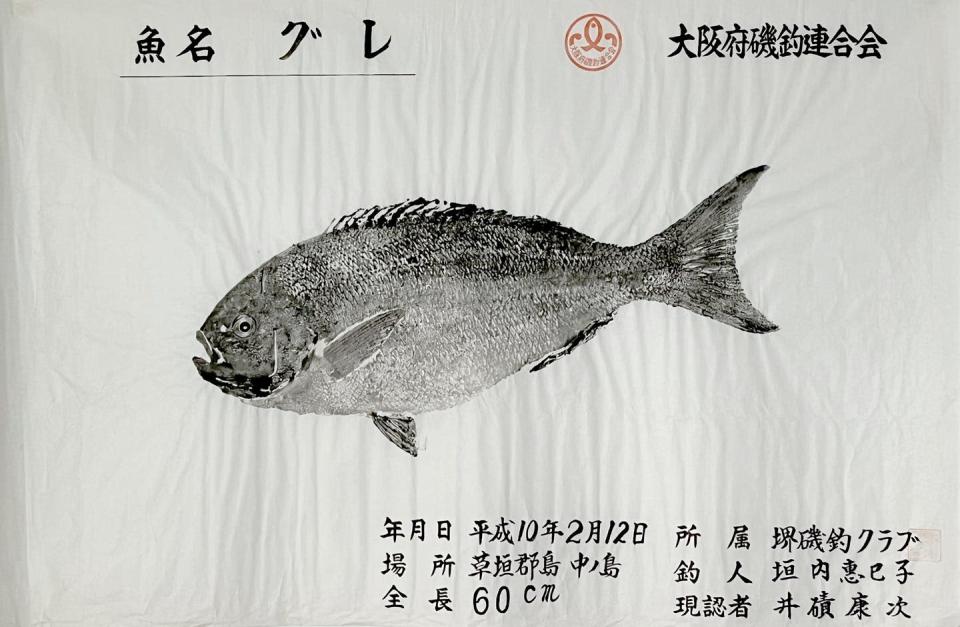 <span class="caption">Gyotaku “Pez gure” (Girella Punctata) Agrupación de pesca de la playa de la prefectura de Osaka. Fecha: 12 de febrero del año 10 de Heisei (1998). Lugar: Nakano Shima. Tamaño: 60 cm. Club Sakai Isozuki. Pescador: Kakiuchi Sakai . </span> <span class="attribution"><span class="source">Col: N. Lazaga</span>, <span class="license">Author provided</span></span>