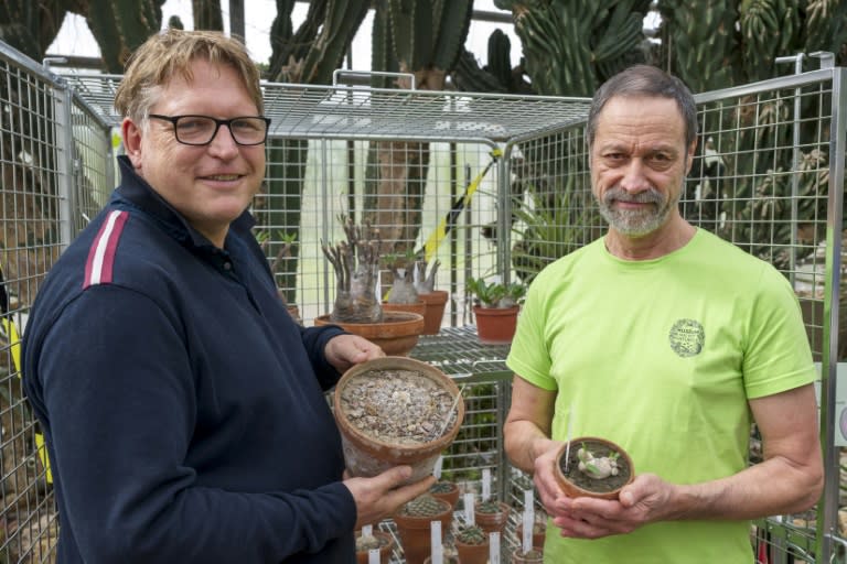 Frédéric Pautz (g, directeur du jardin botanique, et Jean-Michel Doremus, responsable des serres du jardin botanique Jean-Marie Pelt, le 30 avril 2024 à Villers-les-Nancy, en Meurthe-et-Moselle (AFP - Jean-Christophe VERHAEGEN)