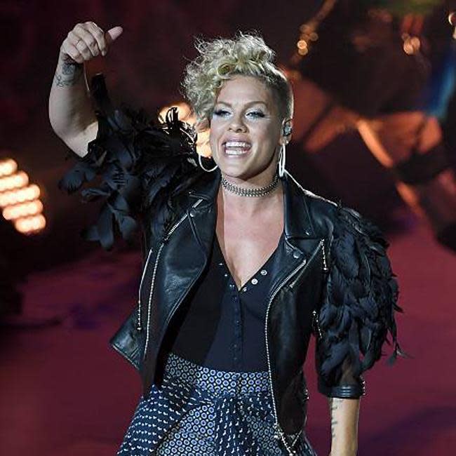 Pink admits she’s an ‘alpha’ (Rex)