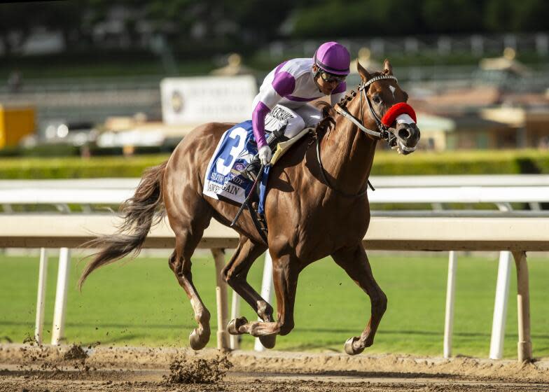 In a photo provided by Benoit Photo, Reddam Racing's Slow Down Andy and jockey Mario Gutierrez.