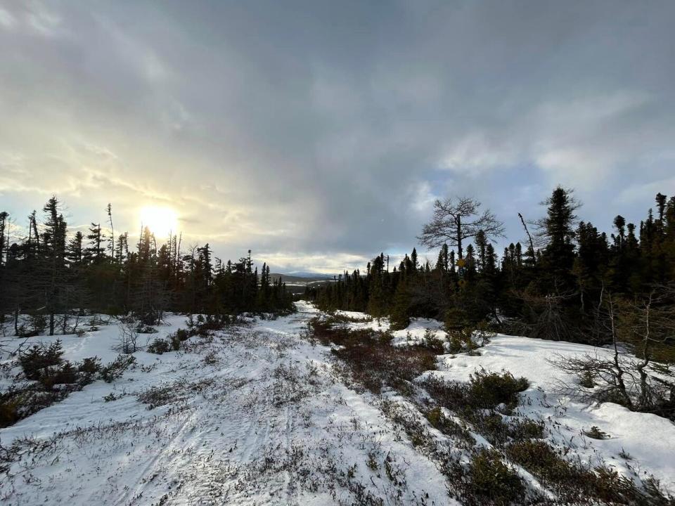 Morgan Elson photographed the poor snow conditions around Cartwright on March 6, 2024. The snow is melting throughout central and southern Labrador earlier than usual in 2024. 