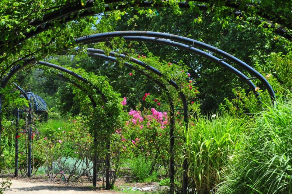 Descanso Gardens via Getty Images