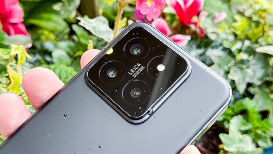 Xiaomi 14 rear cameras