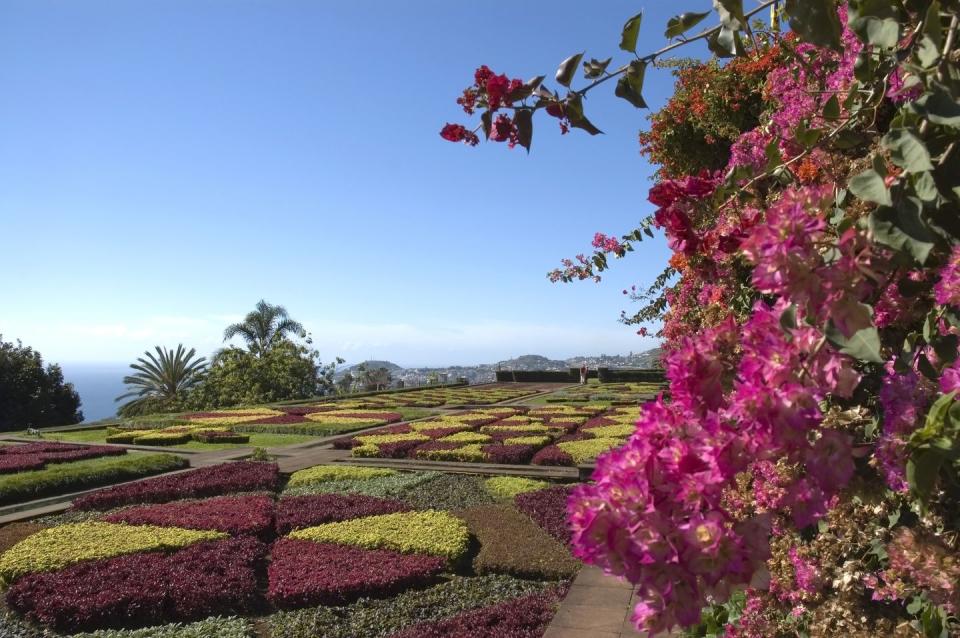 10) A horticultural holiday in Madeira