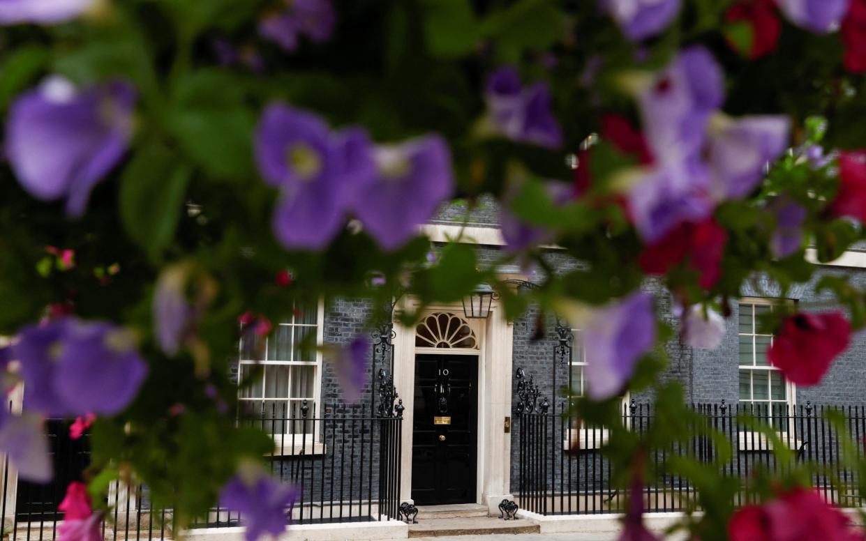 No perennial fixtures: petunias outside 10 Downing Street - JOHN SIBLEY/Reuters