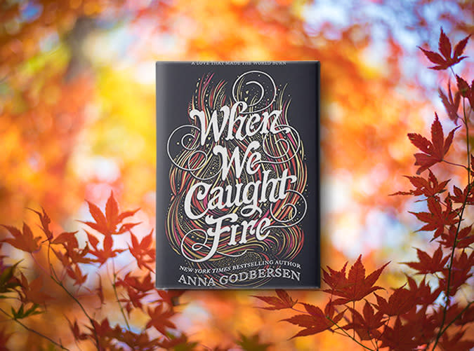 When We Caught Fire by Anna Godbersen