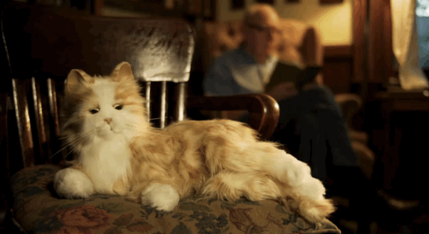 Hasbro Introduces Toys for the Elderly, Starting a Robotic Cat