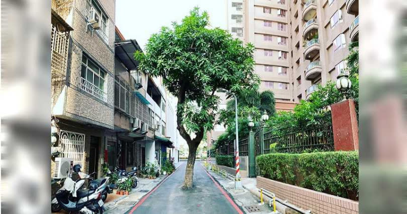 （圖／翻攝自臉書粉絲專頁「高雄點 Kaohsiung.」）