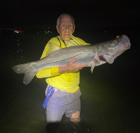 Larry Lutz of Indiatlantic caught and released this huge snook while wade fishing around the T-Dock at Sebastian Inlet Nov. 25, 2023.