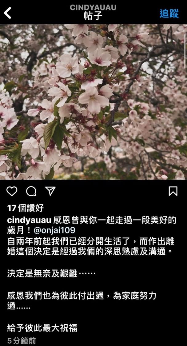 Cindy社交網。