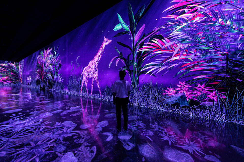 「ARTE M」超人氣藝術博物館10月登港！「韓版Teamlab」逾9000呎沉浸式體驗藝術作影靚相