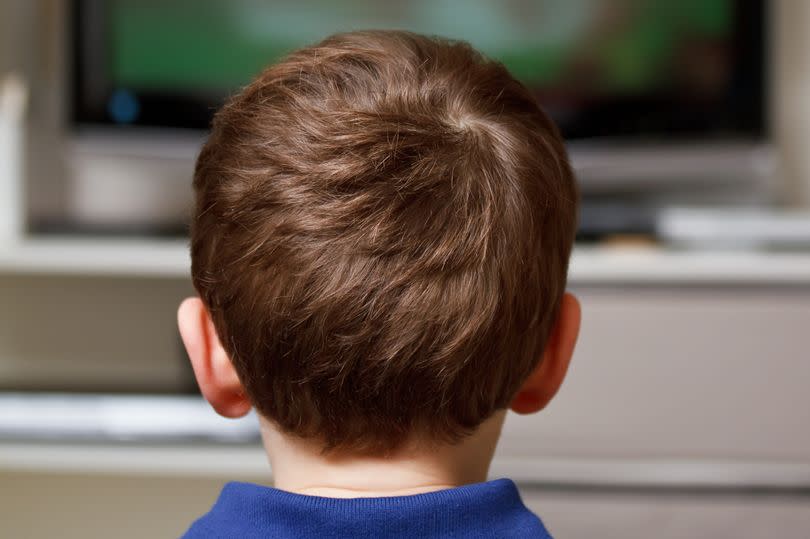 Boy watching cartoon on TV -Credit:Getty Images/iStockphoto