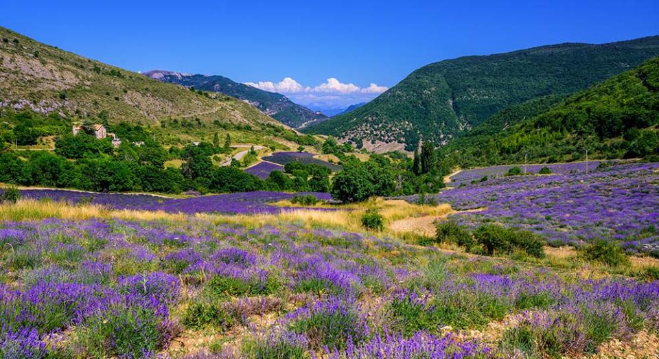 索村高原（Image Source : Getty Creative/iStockphoto）