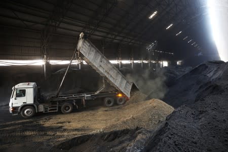 Camel feces is unloaded at the Gulf Cement Company in Ghalilah