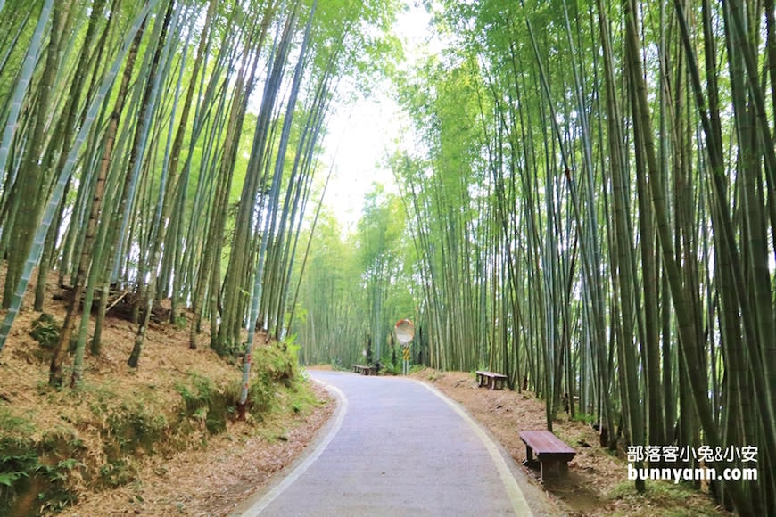 嘉義｜瑞里綠色隧道