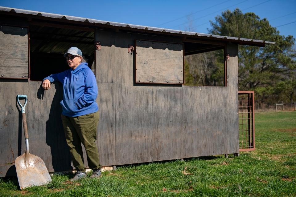 Debbie Webster, owner of Whispering Pines Farm, rests against a structure on the farm in Seneca, S.C., on Thursday, Feb. 15, 2024.