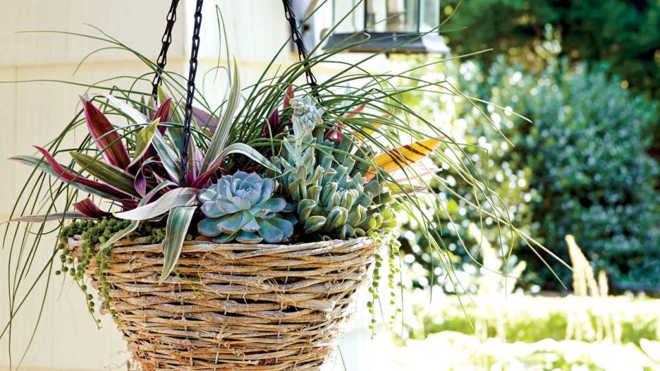 Hanging Container Gardens