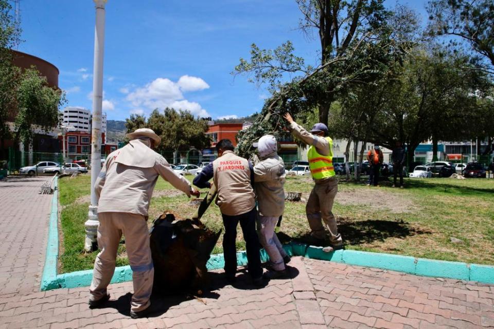 El jardín de los Hombres Ilustres será reforestado | Foto: Luis Soriano