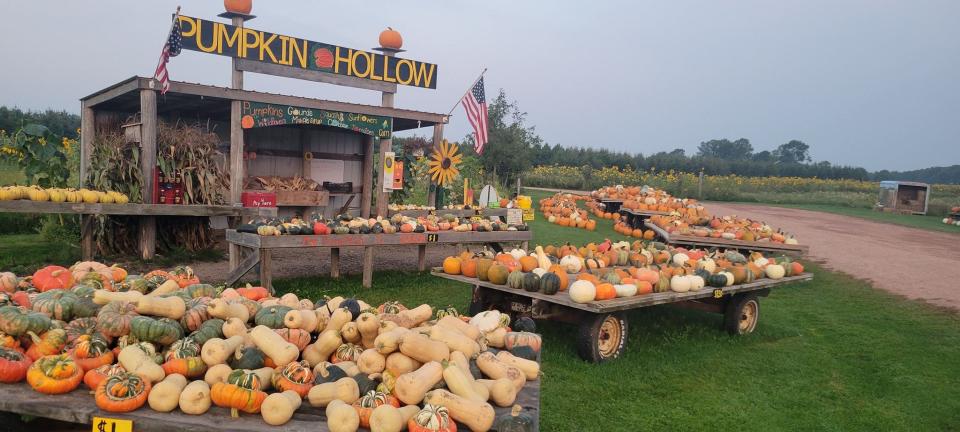 Pumpkin Hollow features 85 pumpkin and squash varieties at their farm stand in Edgar.
