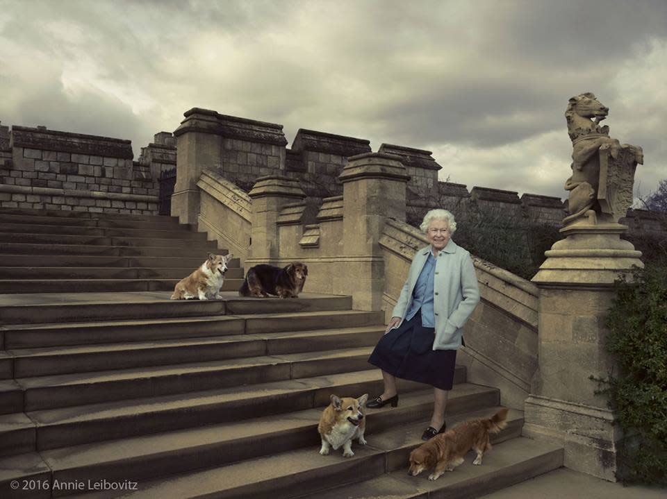 Die Queen ohne ihre Corgis? Undenkbar! Seit ihrer Krönung besaß Königin Elisabeth II. von Großbritannien über 30 Tiere dieser Rasse. Bis heute gehören die knuddeligen Vierbeiner zum festen Bestandteil ihres Haushaltes. (Bild-Copyright: The Royal Familiy/Facebook)