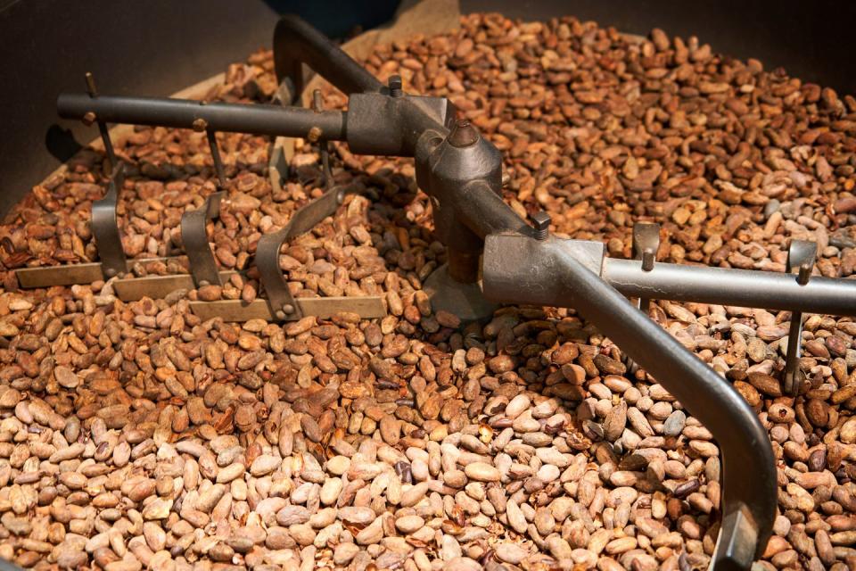 chocolate making process the small craft manufacture, cocoa beans