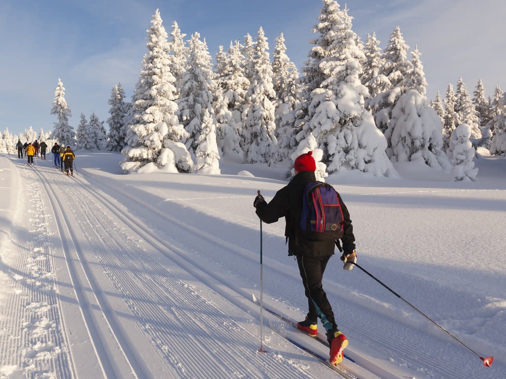 Langlaufen ist ein beliebter Wintersport. (Bild: Rob Kints/Shutterstock.com)