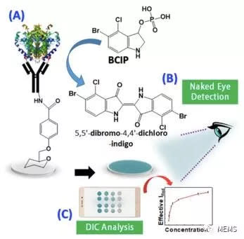 潮科技| 研究人員研發一次性生物傳感裝置，可用於裸眼檢測牛奶中巴氏滅菌指標