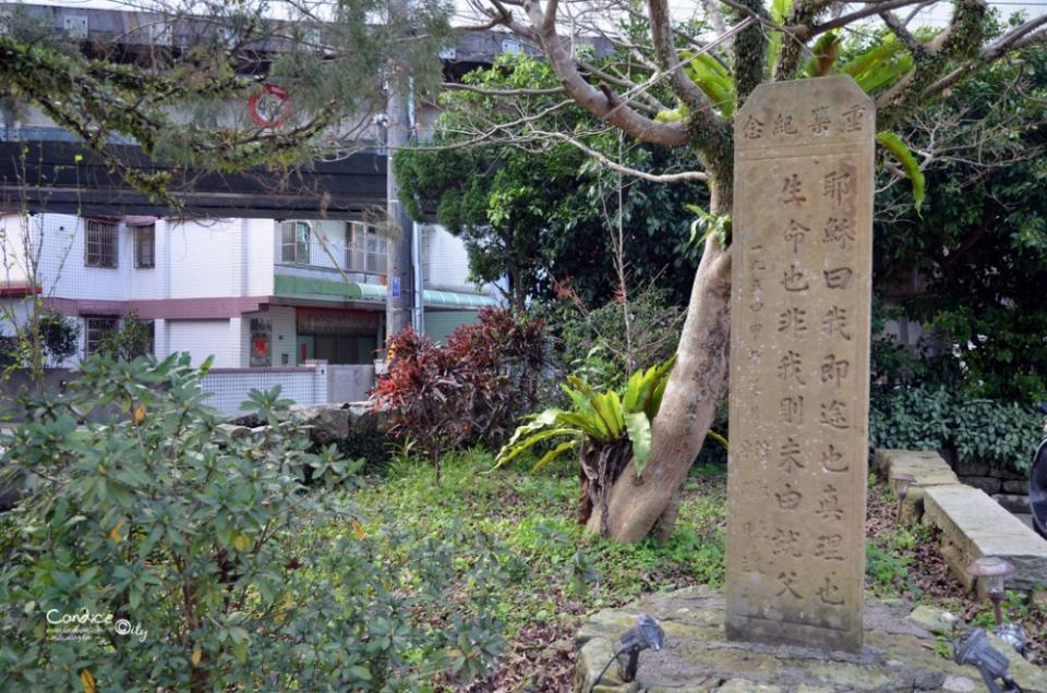 【鐵道旅行】雙溪半日遊 漫步迷人復古小鎮，海山餅店蛋糕好好吃!