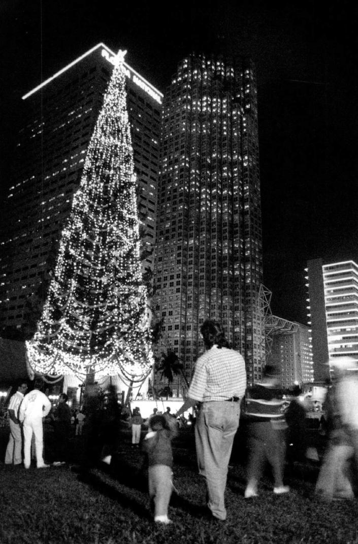 جدید در خط افق میامی در سال 1989: بلندترین درخت کریسمس جهان.  این درخت 144 فوتی که زمانی نقطه عطف تعطیلات در مقر National Enquirer در لانتانا بود، اولین نمایش خود را در میامی انجام می دهد.